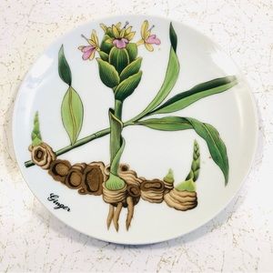 Vintage Collectible Plate Horchow Japan Collectible Porcelain Ginger Plate 7.75”